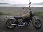 VT 1100 ACE chopper